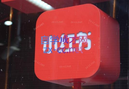 伊伊·红薯【高级班】运营课-吾爱网创