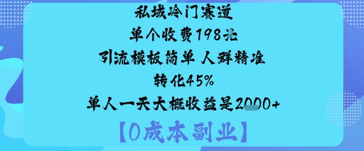 私域冷门赛道:单个收费198米引流模板简单人群精准转化45%单人一天大概收益是1k+-吾爱网创