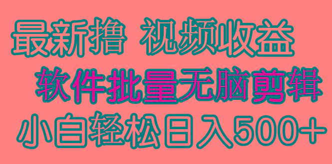 (9569期)发视频撸收益，软件无脑批量剪辑，第一天发第二天就有钱-吾爱网创