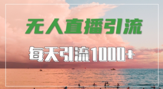 抖音快手视频号全平台通用，无人直播引流法，超暴力引流1000+高质量精准创业粉【揭秘】-吾爱网创