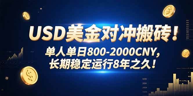（15551期）USD美金对冲搬砖!单人单日800-2000CNY，长期稳定运行8年之久!-吾爱网创
