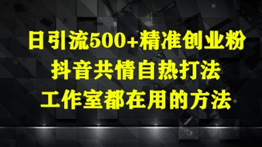 日引流500+精准创业粉,抖音共情自热打法,工作室都在用的方法-吾爱网创