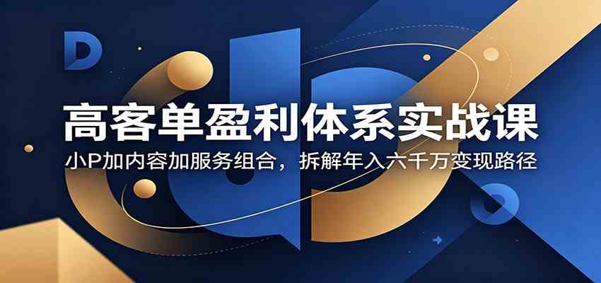 高客单盈利体系实战课:小P加内容加服务组合,拆解年入六千万变现路径-吾爱网创