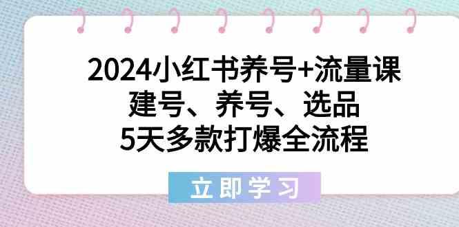 2024小红书养号+流量课:建号、养号、选品,5天多款打爆全流程-吾爱网创
