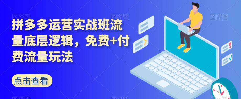 拼多多运营实战班流量底层逻辑，免费+付费流量玩法-吾爱网创