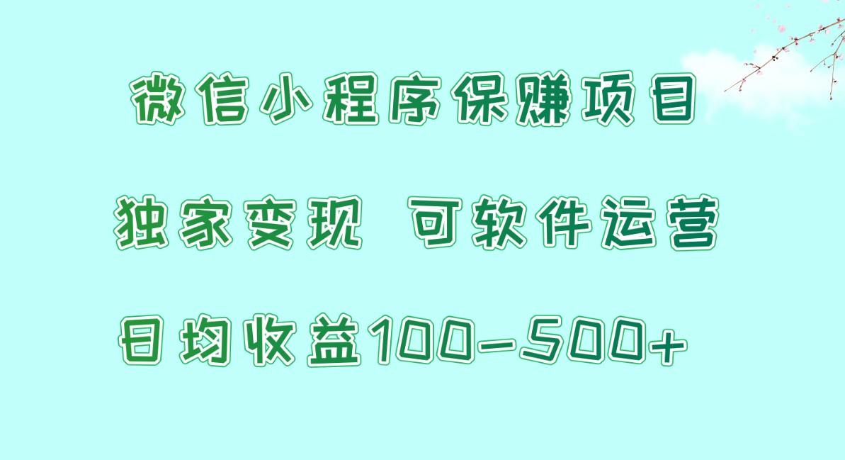 微信小程序保赚项目，日均收益100~500+，独家变现，可软件运营-吾爱网创