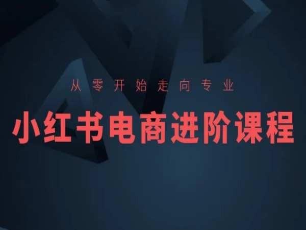 从零开始走向专业，小红书电商进阶课程-吾爱网创