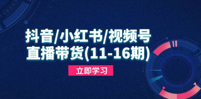 （14611期）抖音/小红书/视频号/直播带货(11-16期)，快速掌握平台规则，打造爆款内容-吾爱网创