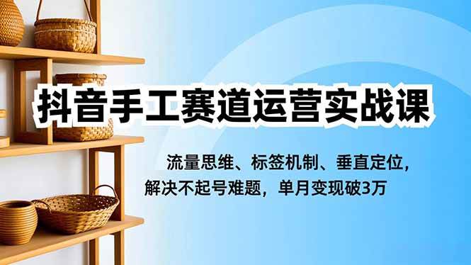 （16667期）抖音手工赛道运营实战课，流量思维、标签机制、垂直定位，解决不起号难题，单月变现破3万-吾爱网创