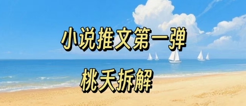 小说推文项目操作全流程第一弹，0粉就能做，门槛低非常适合新手-吾爱网创