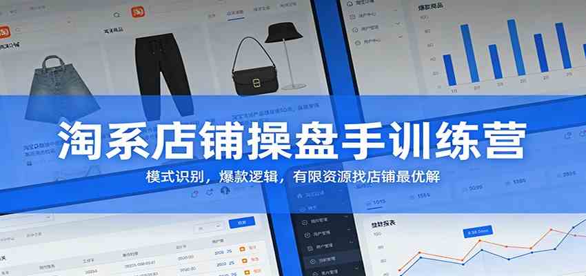 淘系店铺操盘手训练营：模式识别，爆款逻辑，有限资源找店铺最优解-吾爱网创