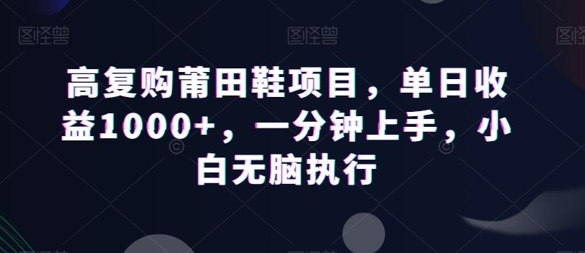 高复购莆田鞋项目，单日收益1000+，一分钟上手，小白无脑执行-吾爱网创