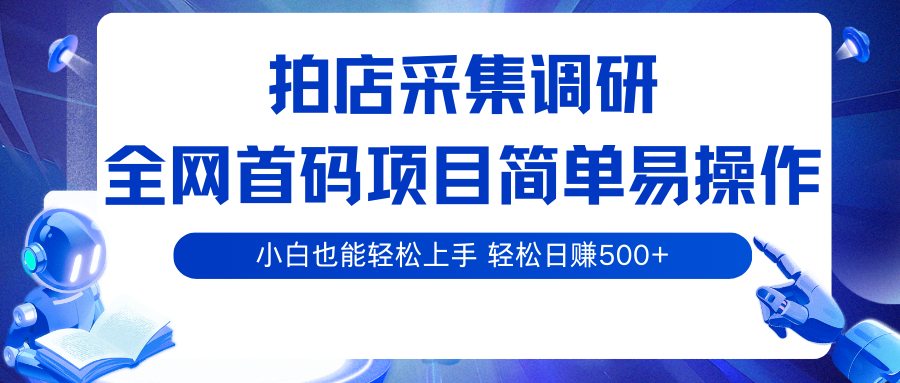 拍店采集调研，全网首码项目，简单易操作， 小白也能轻松上手，轻松日赚500+-吾爱网创
