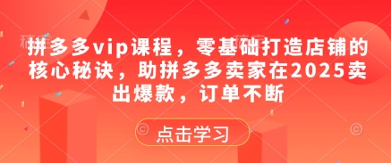 拼多多vip课程,零基础打造店铺的核心秘诀,助拼多多卖家在2025卖出爆款,订单不断-吾爱网创