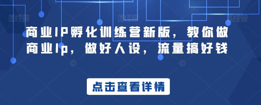 商业IP孵化训练营新版,教你做商业Ip,做好人设,流量搞好钱