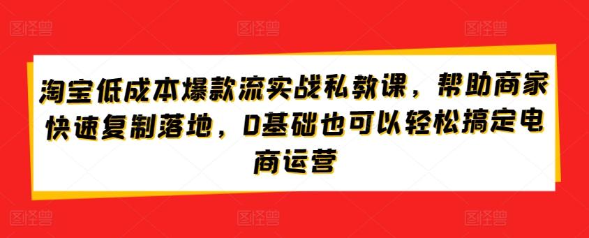 淘宝低成本爆款流实战私教课,帮助商家快速复制落地,0基础也可以轻松搞定电商运营-吾爱网创