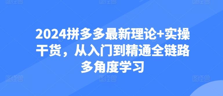 2024拼多多最新理论+实操干货，从入门到精通全链路多角度学习-吾爱网创