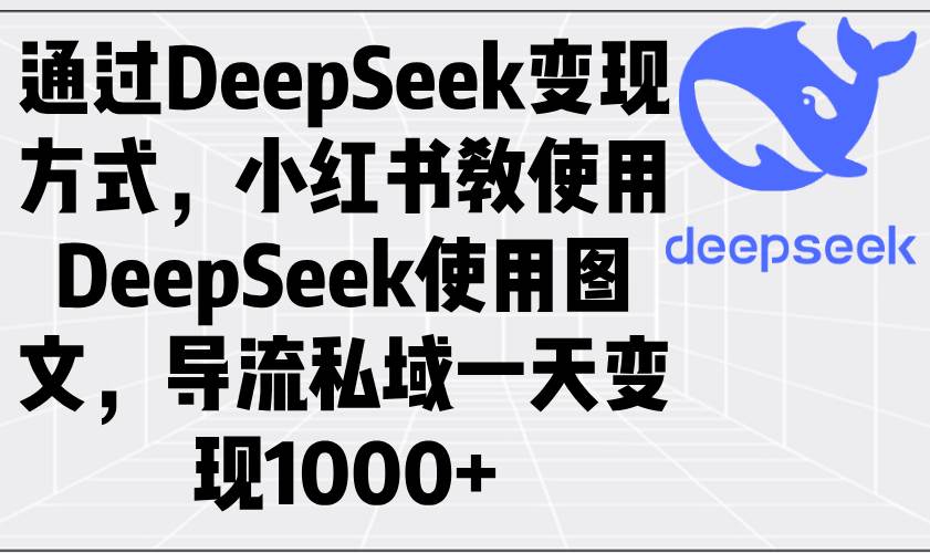 （14179期）通过DeepSeek变现方式，小红书教使用DeepSeek图文，导流私域一天变现1000+-吾爱网创