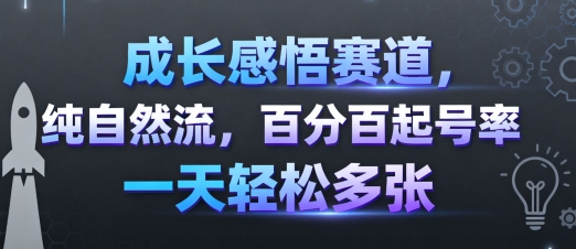 成长感悟赛道，纯自然流，百分百起号率 一天轻松多张-吾爱网创