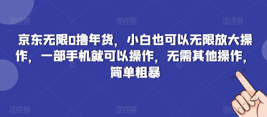 京东无限0撸年货，小白也可以无限放大操作，一部手机就可以操作，无需其他操作，简单粗暴-吾爱网创