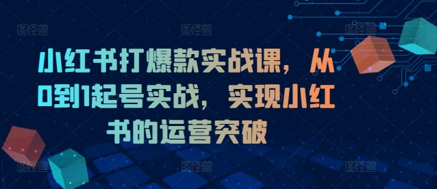 小红书打爆款实战课，从0到1起号实战，实现小红书的运营突破-吾爱网创