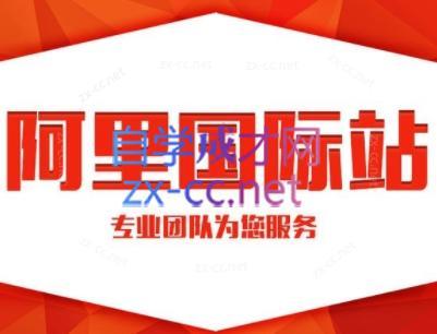 张杰老师·外贸国际站运营顾问-吾爱网创