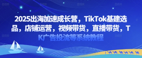 2025出海加速成长营,TikTok基建选品,店铺运营,视频带货,直播带货,TK广告投流等系统教程-吾爱网创