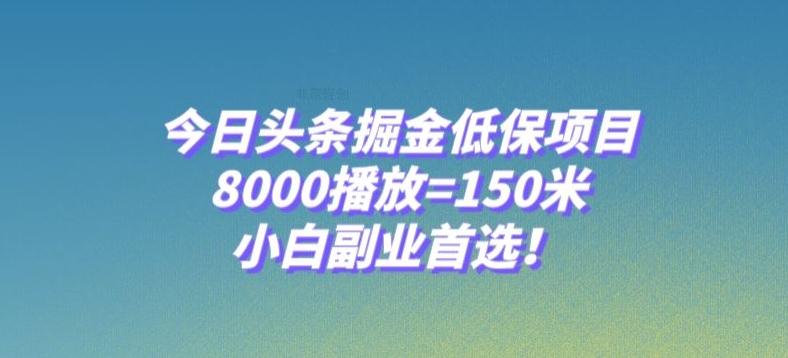 今日头条掘金低保项目，8000播放=150米，小白副业首选【揭秘】-吾爱网创