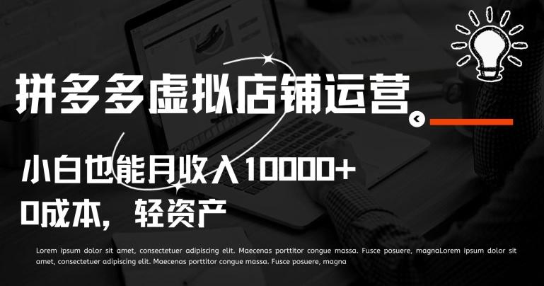 拼多多虚拟店铺运营小白也能月收入10000+【揭秘】-吾爱网创
