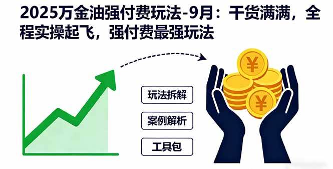 （16202期）2025万金油强付费玩法-9月：干货满满，全程实操起飞，强付费最强玩法-吾爱网创