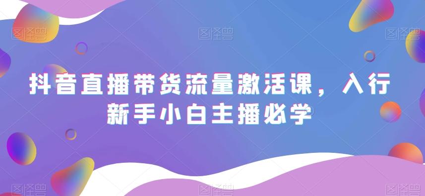 抖音直播带货流量激活课，入行新手小白主播必学-吾爱网创