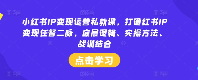 小红书IP变现运营私教课，打通红书IP变现任督二脉，底层逻辑、实操方法、战训结合-吾爱网创