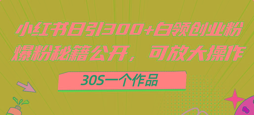 小红书日引300+高质白领创业粉，可放大操作，爆粉秘籍！30s一个作品-吾爱网创
