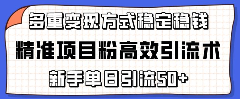 精准项目粉高效引流术，新手单日引流50+，多重变现方式稳定赚钱【揭秘】-吾爱网创