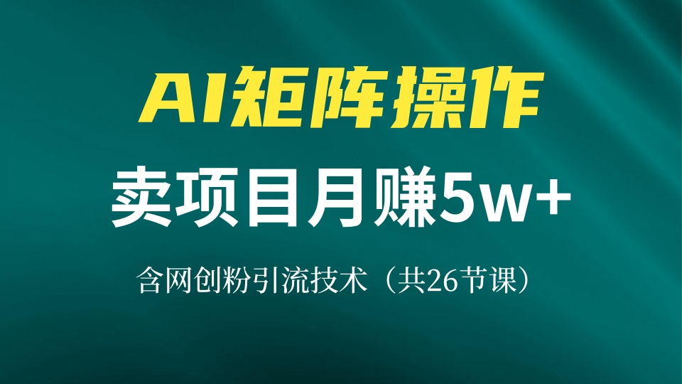 网创IP打造课，借助AI卖项目月赚5万+，含引流技术(共26节课-吾爱网创