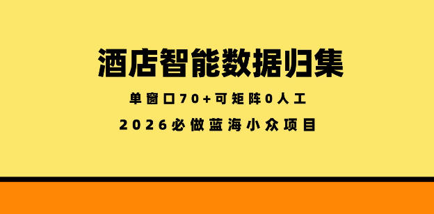 酒店智能数据归集,小众蓝海已经稳定半年之久,单窗口70+零成本矩阵开干【揭秘】-吾爱网创