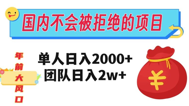 在国内不怕被拒绝的项目，单人日入2000，团队日入20000+【揭秘】-吾爱网创