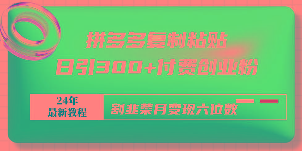 拼多多复制粘贴日引300+付费创业粉，割韭菜月变现六位数最新教程！-吾爱网创