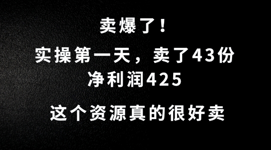 这个资源，需求很大，实操第一天卖了43份，净利润425【揭秘】-吾爱网创