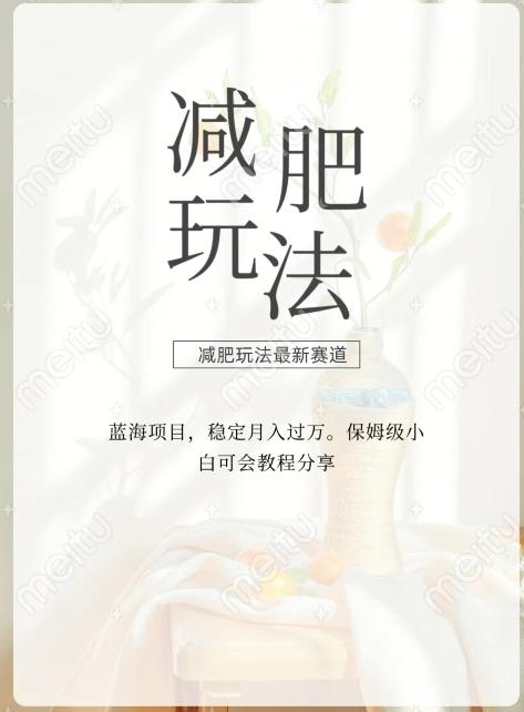 减肥流量主新玩法，轻松月入1W，可矩阵操作收入翻倍-吾爱网创