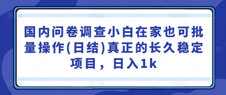 国内问卷调查小白在家也可批量操作(日结)真正的长久稳定项目，日入1k【揭秘】-吾爱网创
