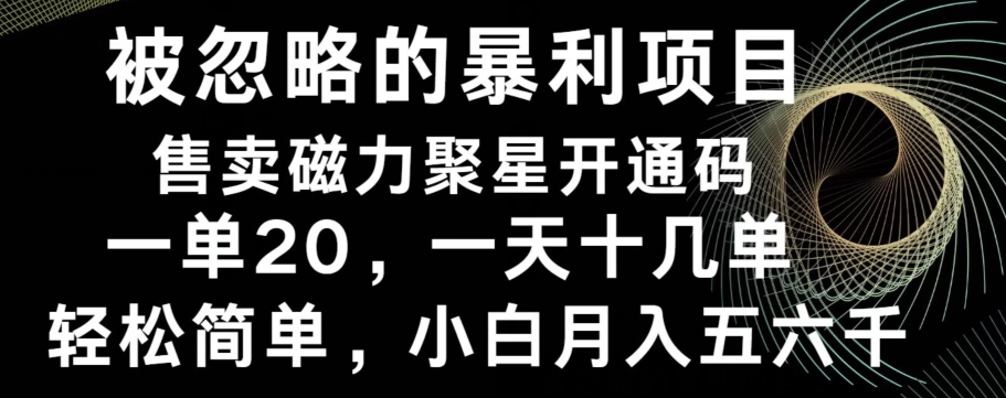 被忽略的暴利项目！售卖磁力聚星开通码，一单20，一天十几单，轻松月入五六千-吾爱网创