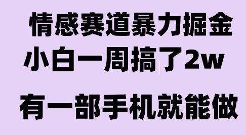 情感暴力掘金项目，新人操作一周挣了2W，长期稳定小白可做【揭秘】-吾爱网创