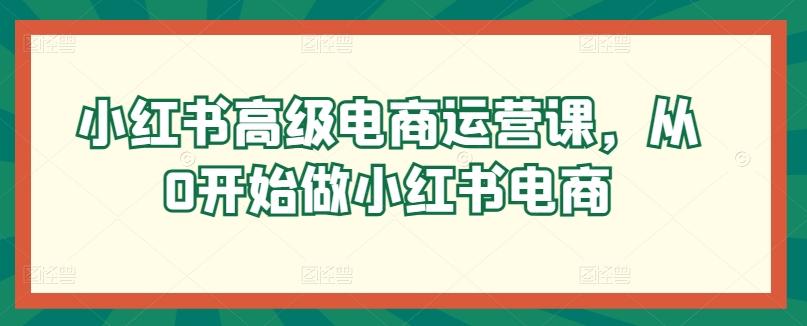 小红书高级电商运营课，从0开始做小红书电商-吾爱网创