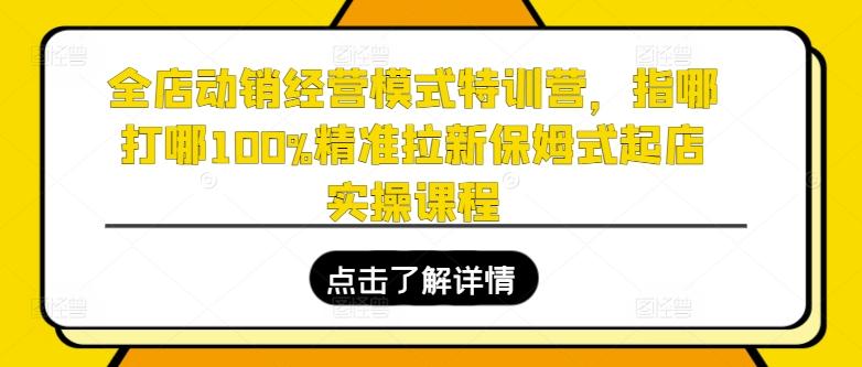 全店动销经营模式特训营,指哪打哪100%精准拉新保姆式起店实操课程-吾爱网创