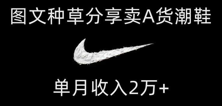 靠图文种草分享卖A货潮鞋，每天一小时，单月收入2万+【揭秘】-吾爱网创