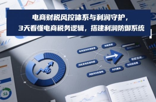 电商财税风控体系与利润守护，3天看懂电商税务逻辑，搭建利润防御系统-吾爱网创