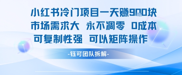 小红书冷门项目一天收益9张，市场需求大，0成本，可复制性强可以矩阵操作-吾爱网创