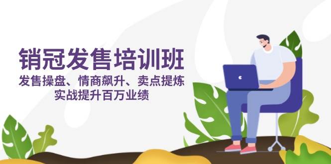 （14203期）销冠 发售培训班：发售 操盘+情商 飙升+卖点 提炼，实战提升百万业绩-吾爱网创