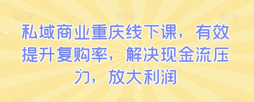 私域商业重庆线下课，有效提升复购率，解决现金流压力，放大利润-吾爱网创